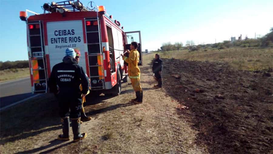 Brigadistas sofocaron incendios en la zona de Ibicuy