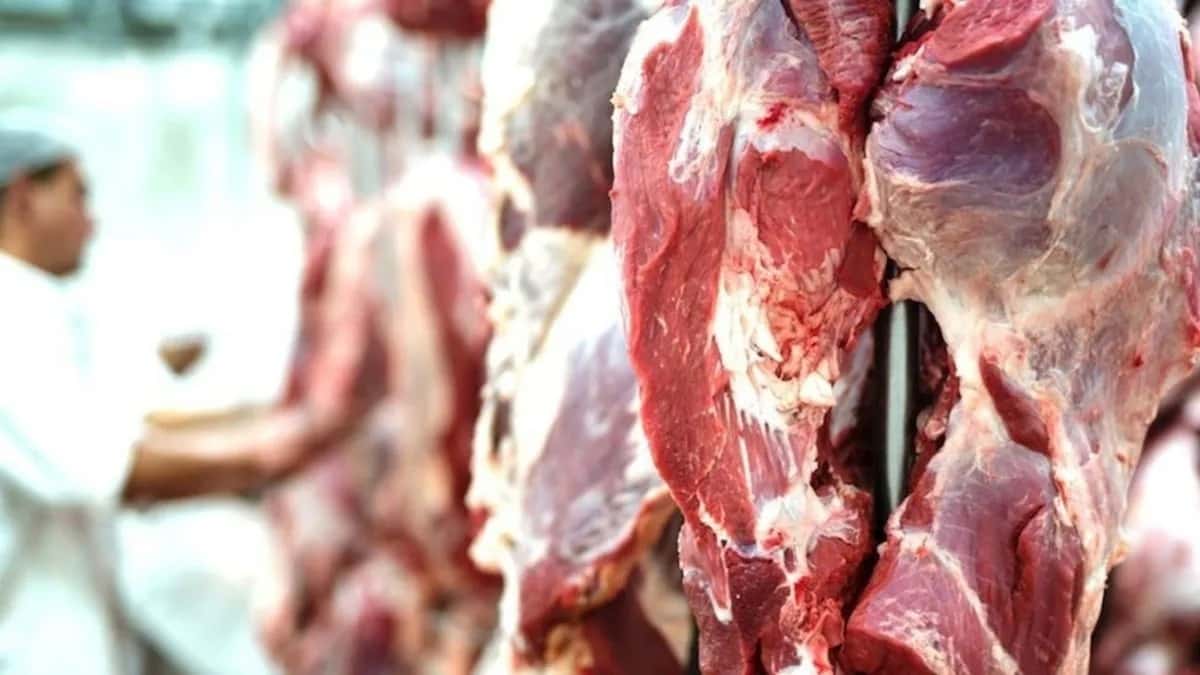 Exportaciones: La Mesa de las Carnes pidió que se levanten las restricciones