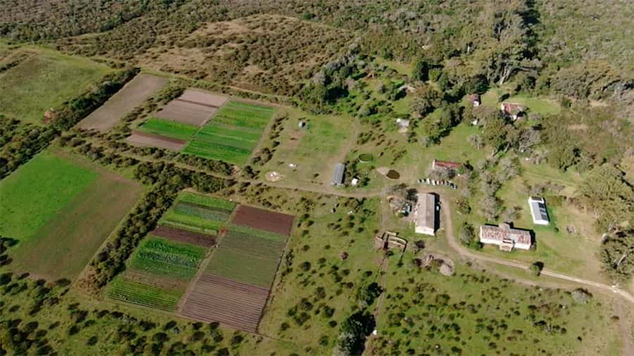 Agroecología: Gualeguaychú avanza  en la producción de alimentos sanos