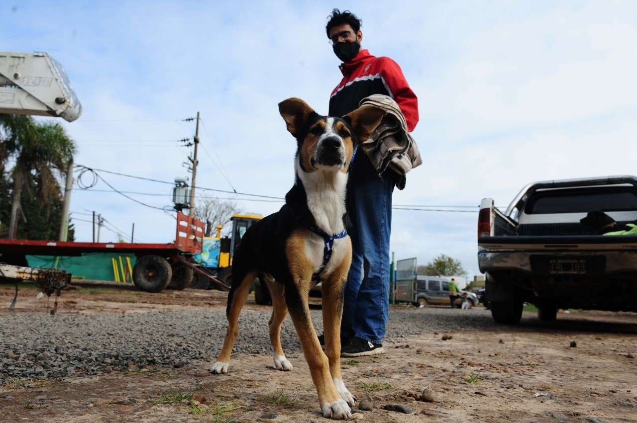 Pueblo Belgrano: Más de cincuenta  mascotas fueron esterilizadas