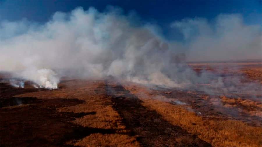 Se detectaron nuevos incendios  en islas del Delta del río Paraná