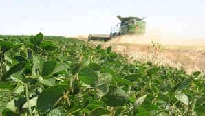 Gobernadores plantean el  futuro de la cadena de soja  como  motor de desarrollo