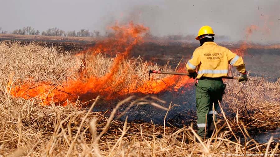 Informe sobre la situación de los  incendios en el Delta del Paraná