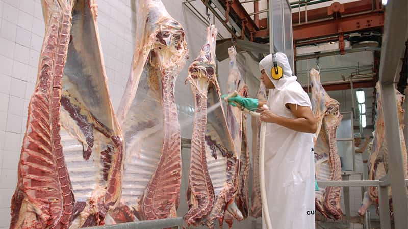 Exportaciones de carne: estiman que estarán "cerca del segundo récord histórico"