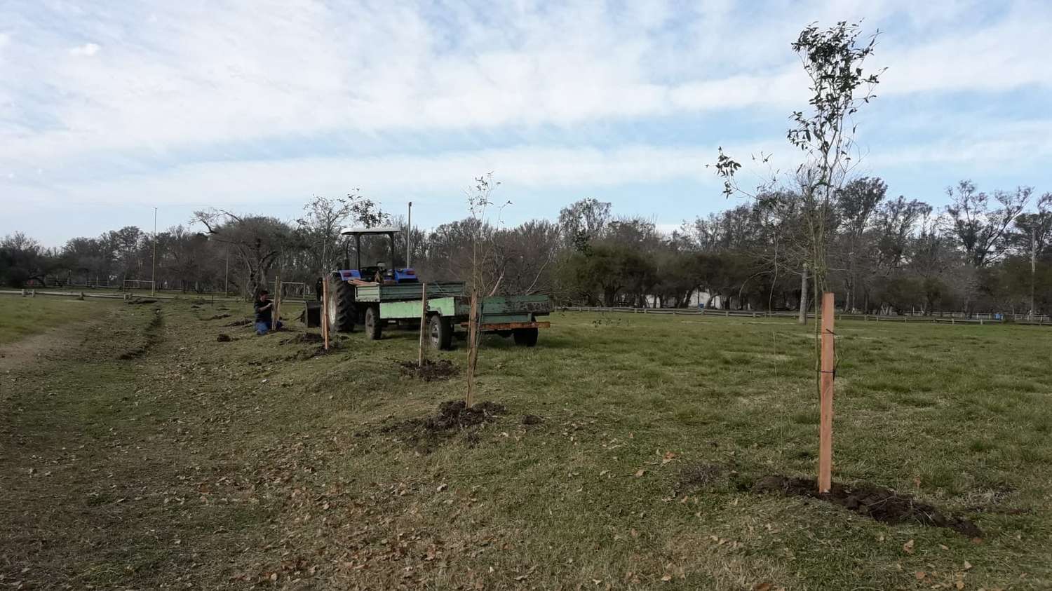  La Municipalidad continúa con la plantación de árboles nativos en el Parque Unzué