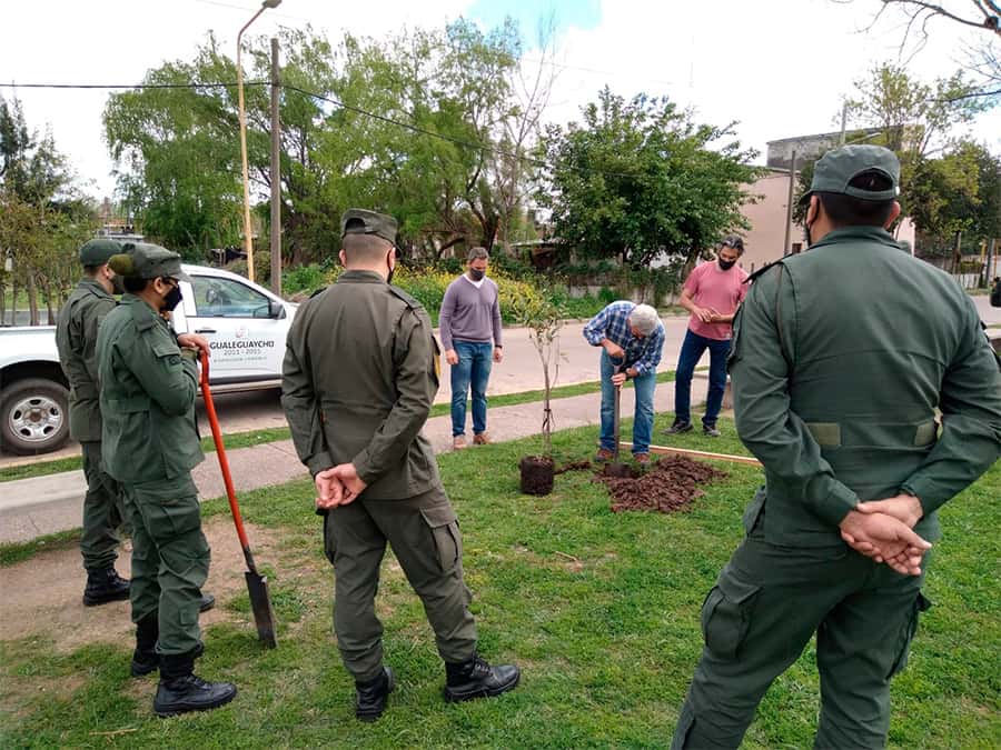 Municipalidad y Gendarmería plantaron 30 árboles nativos en Costanera del Tiempo