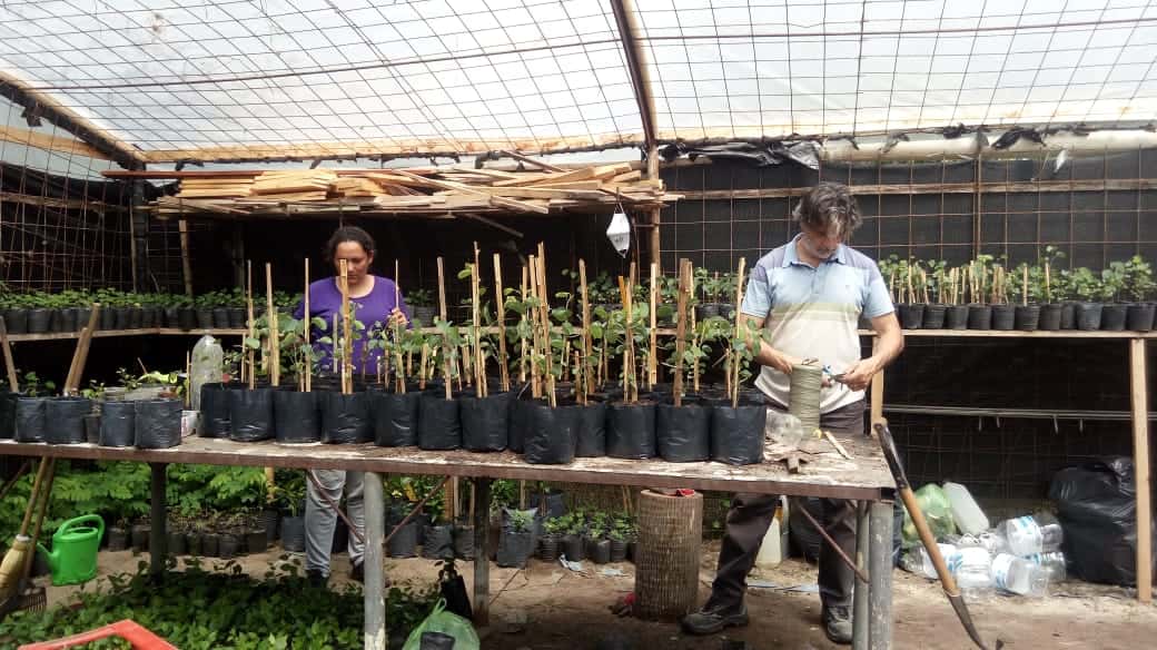 El Vivero Municipal de Árboles Nativos alcanzó los 10 mil plantines