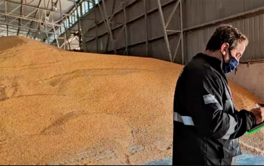Contrabando: la AFIP realizó el mayor decomiso de granos en toda su historia