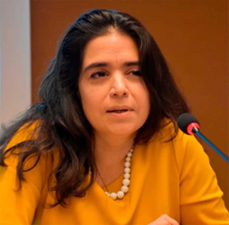 Designan a la argentina Verónica  Gómez como jueza en la CIDH