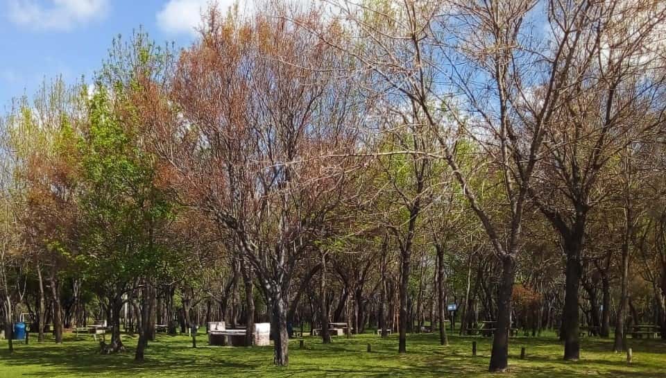 Parque del Sol: un espacio familiar a la orilla del río Gualeguaychú