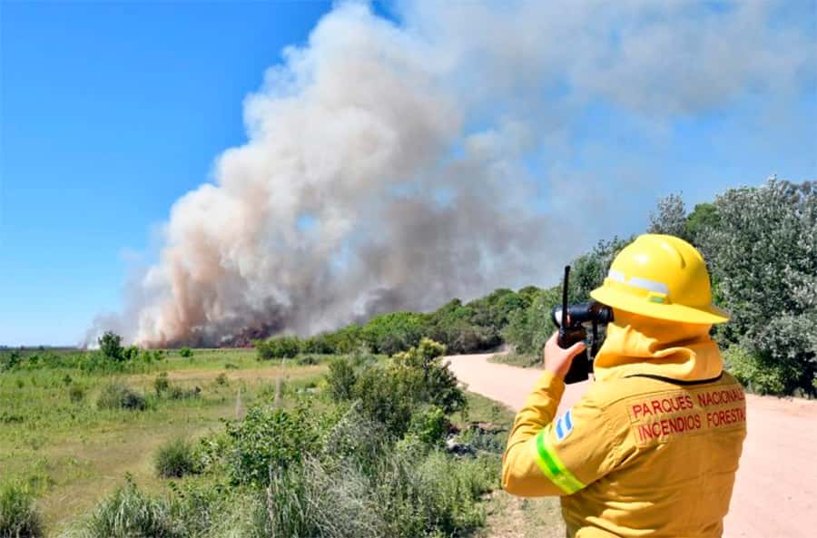 Varios brigadistas entrerrianos combaten el  incendio en el Parque Ciervo de los Pantanos
