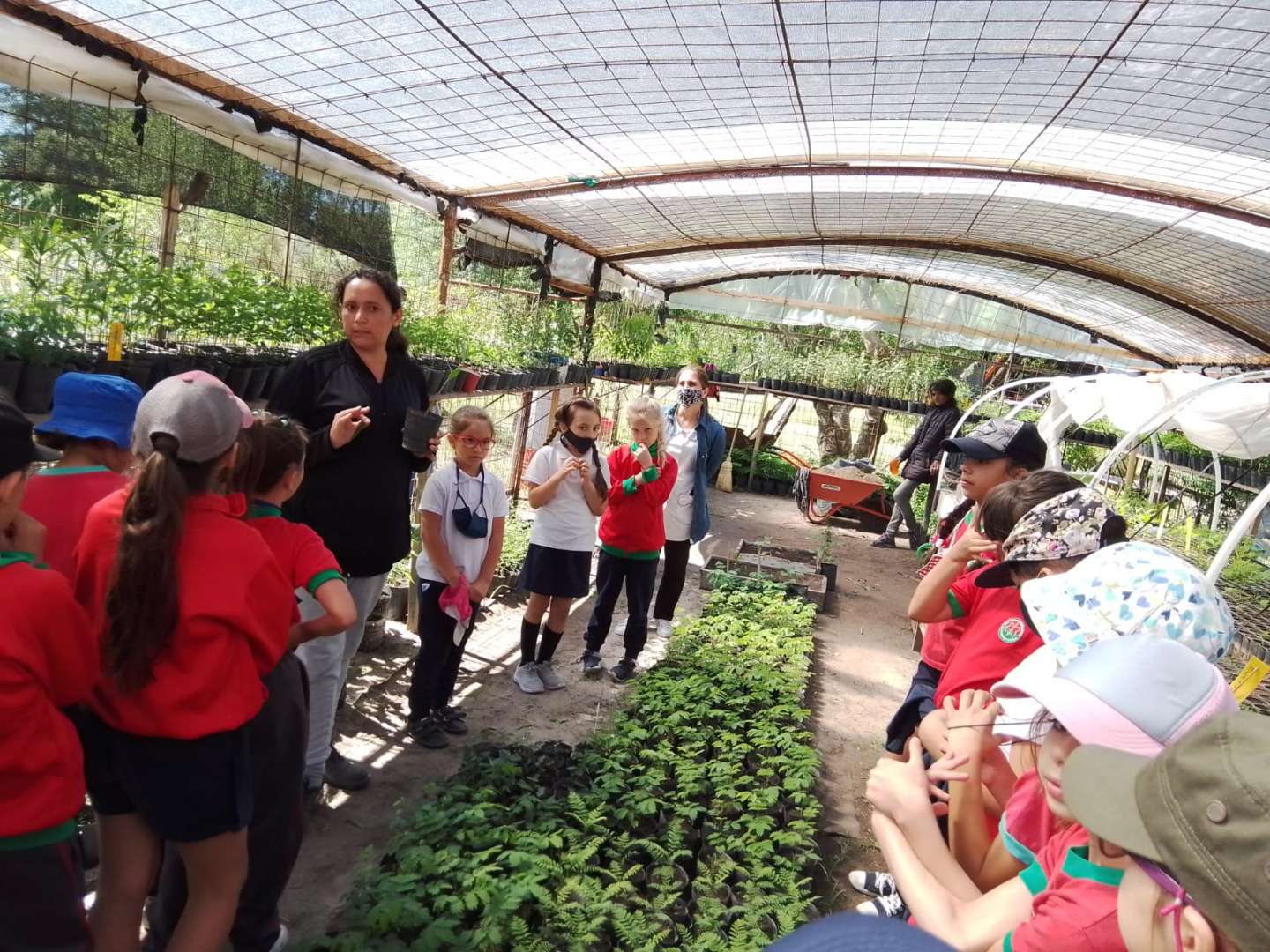 El Vivero Municipal de Árboles   Nativos integra la Red de  Plantas Nativas de Argentina