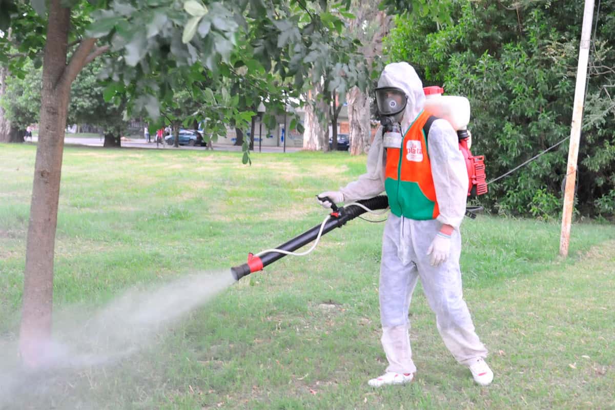 Tareas de fumigación para   prevenir el dengue