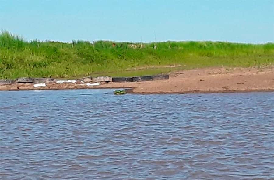 Taponaron con silo bolsas dos arroyos en el Delta