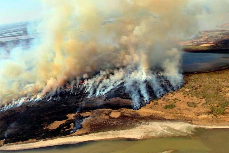 La Corte admite amparo por las  quemas en el Delta del río Paraná