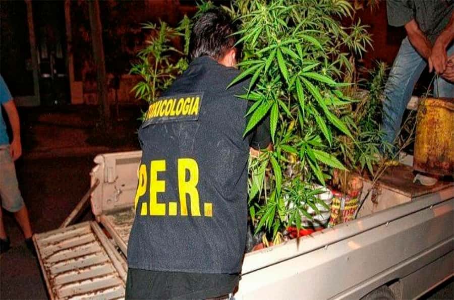 Harán controles toxicológicos a policías y despedirán a los consumidores de drogas