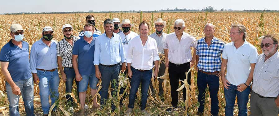 Declararon la emergencia agropecuaria en Entre Ríos