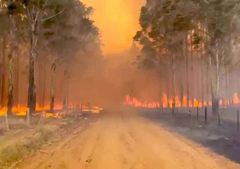Defensa Civil estima  que los incendios "están  alcanzando las   600 mil hectáreas"