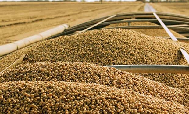  Se dispara el precio internacional de la soja por la guerra entre Rusia y Ucrania