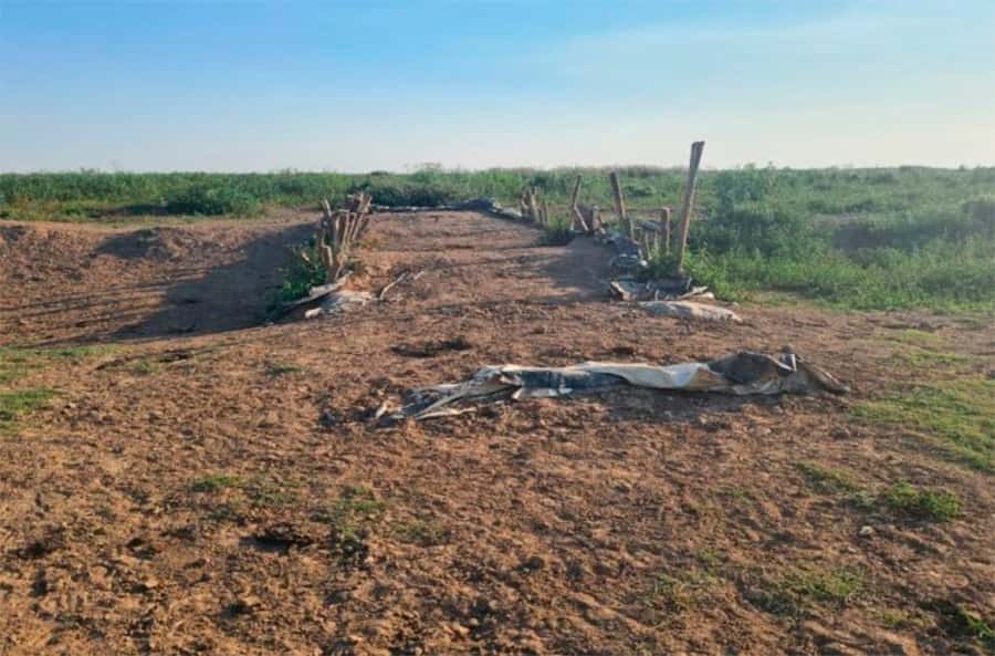 Ambientalistas piden que se derriben  los terraplenes de silobolsas en el Delta