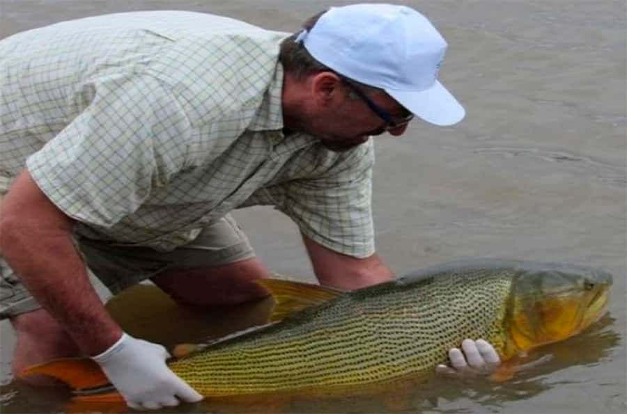 La CARU estableció una nueva veda para la pesca en el río Uruguay