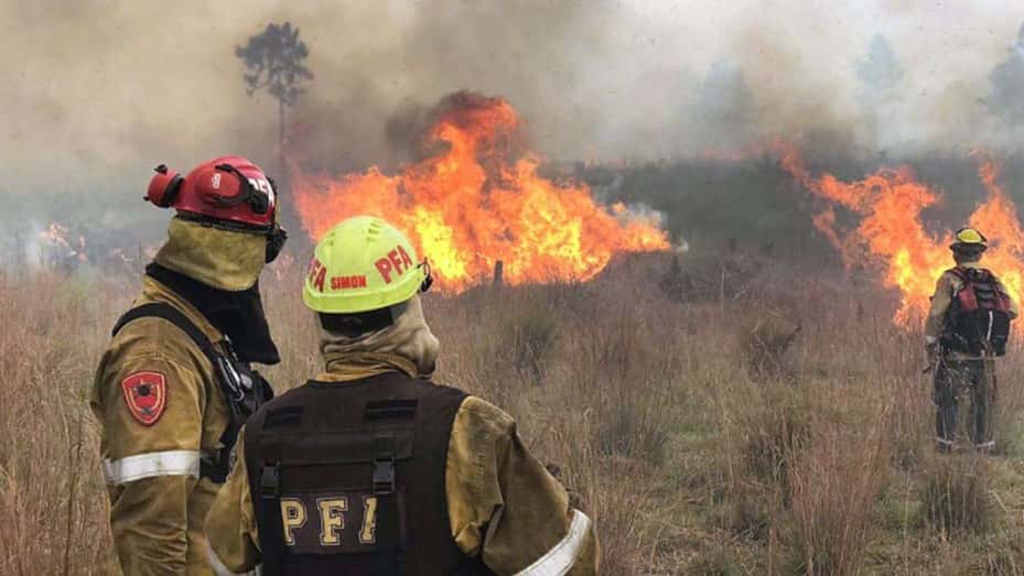 El daño económico por los incendios en Corrientes asciende a $82.000 millones