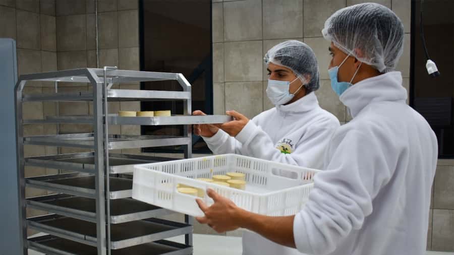 Inauguran la primera fábrica regional de quesos 100% a base de plantas