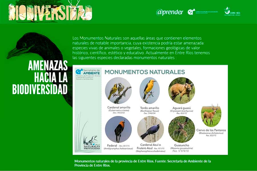 Lanzan contenidos educativos para sensibilizar sobre la biodiversidad