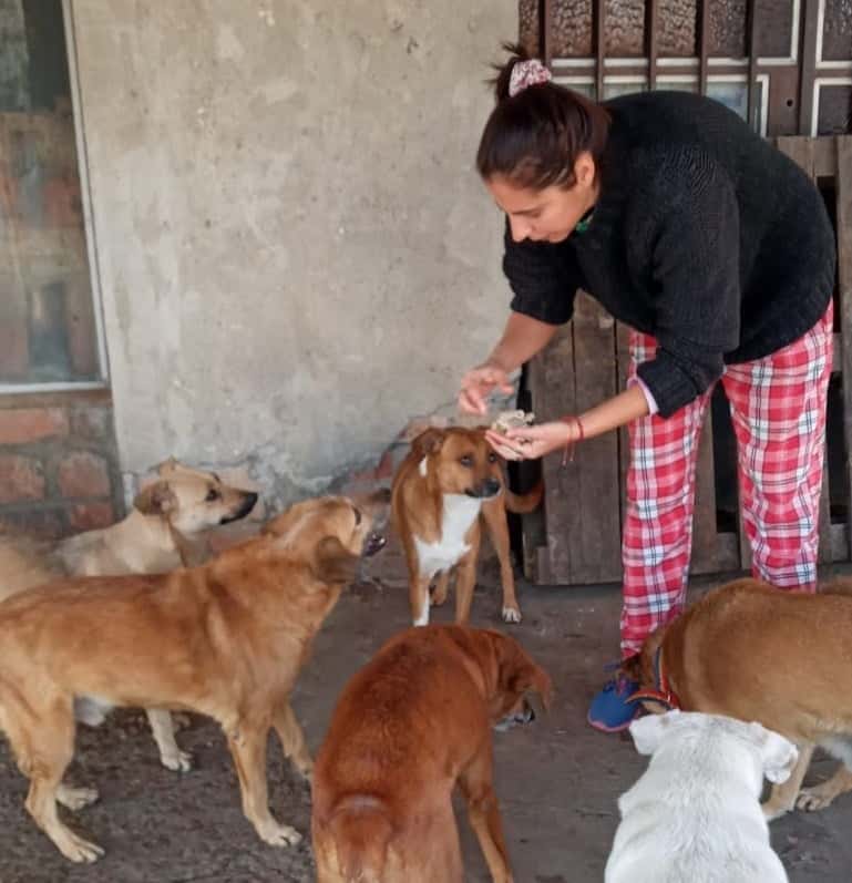 Los perros de Patricio Munilla, continúan sin una solución de vivienda
