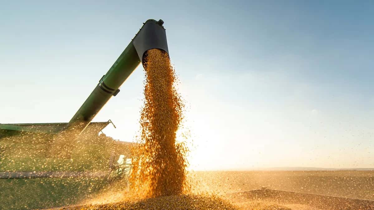 La soja alcanzó precios récord en Chicago y en Argentina proyectan crecimiento de área sembrada