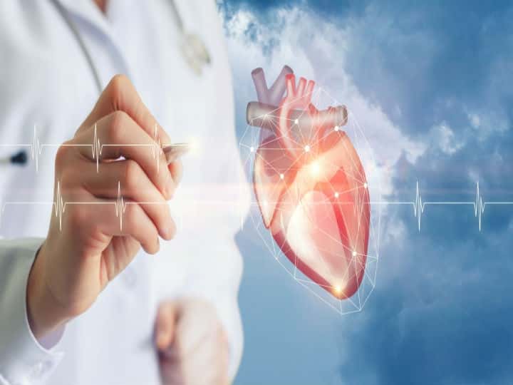Presentan una investigación con nuevos hallazgos sobre cómo funciona el corazón