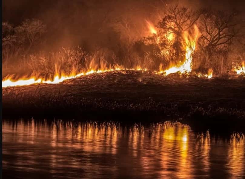 Continúan combatiendo los incendios en islas del delta