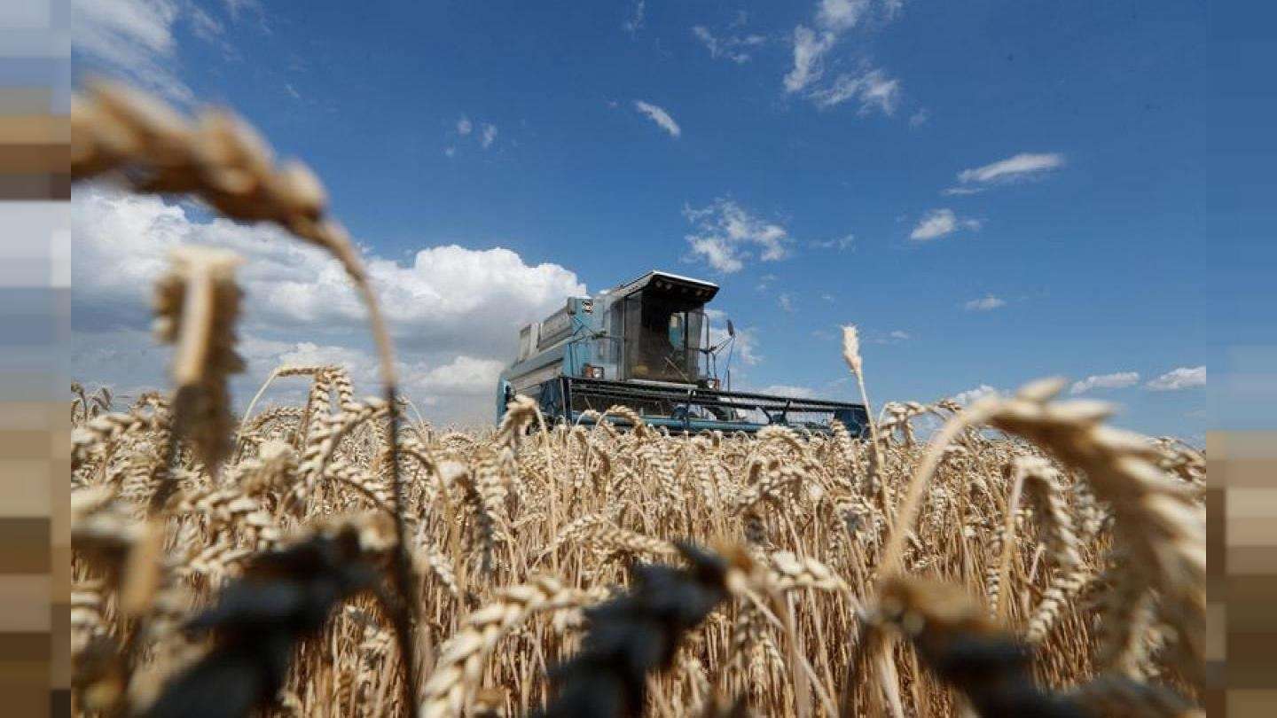 El clima seco demora la siembra de trigo y cebada, al tiempo que se acelera la cosecha de maíz