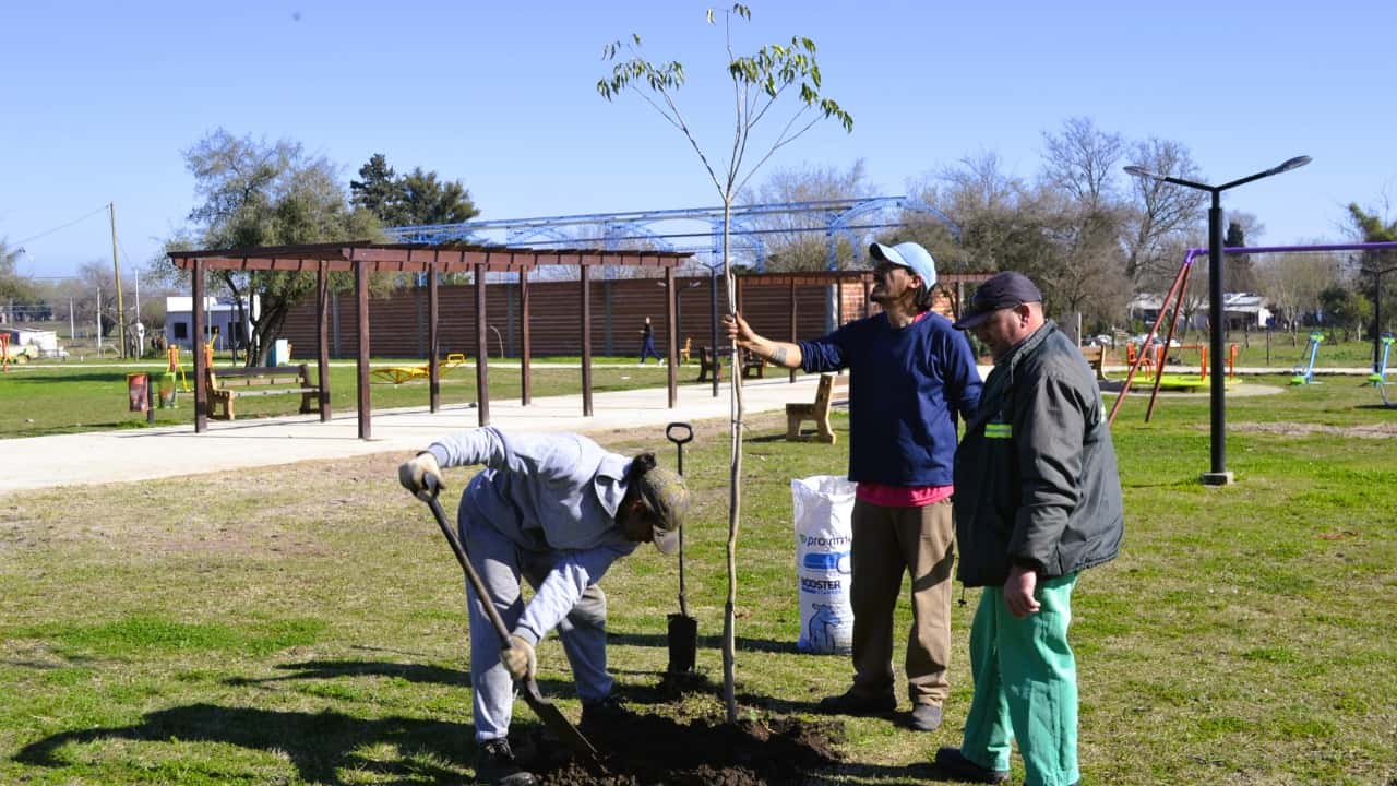 Urdinarrain: Reposición y nuevas plantaciones de árboles autóctonos