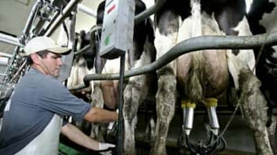  Productores lecheros se manifestaron para evitar que se baje el precio del producto