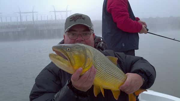 Nuevo período de veda para la pesca del dorado en el río Uruguay  