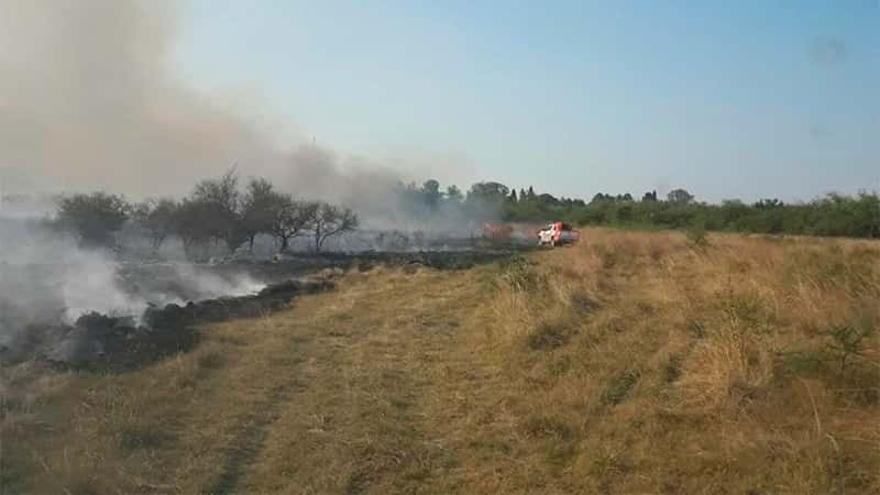 Incendio consumió dos mil  hectáreas, murieron animales
