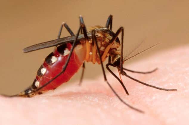 Sospechan de más casos de dengue y leptospirosis en la provincia 