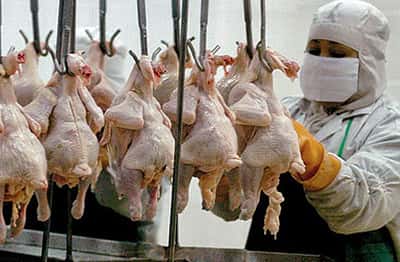 La carne de pollo fue la opción más económica durante 2014
