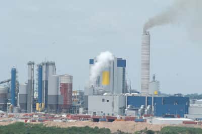 Uruguay modifica la normativa vigente para que UPM siga contaminando