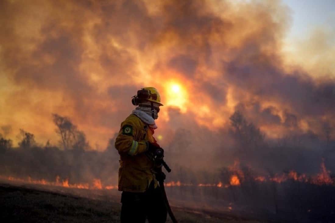 Por los incendios en el delta identifican a dueños de campos