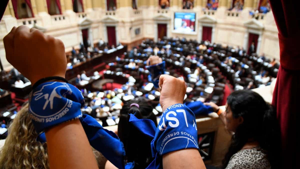 Diputados aprobó y giró al Senado el proyecto que reconoce la Lengua de Señas Argentina