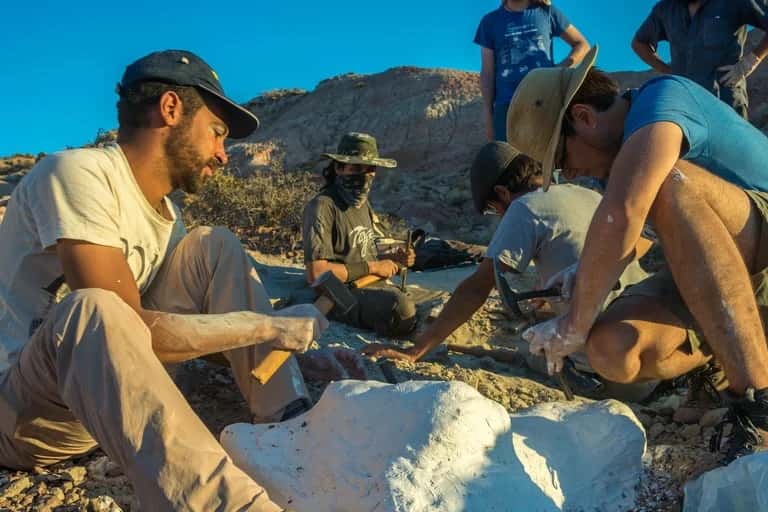 Descubren otro dinosaurio que vivió en la Patagonia