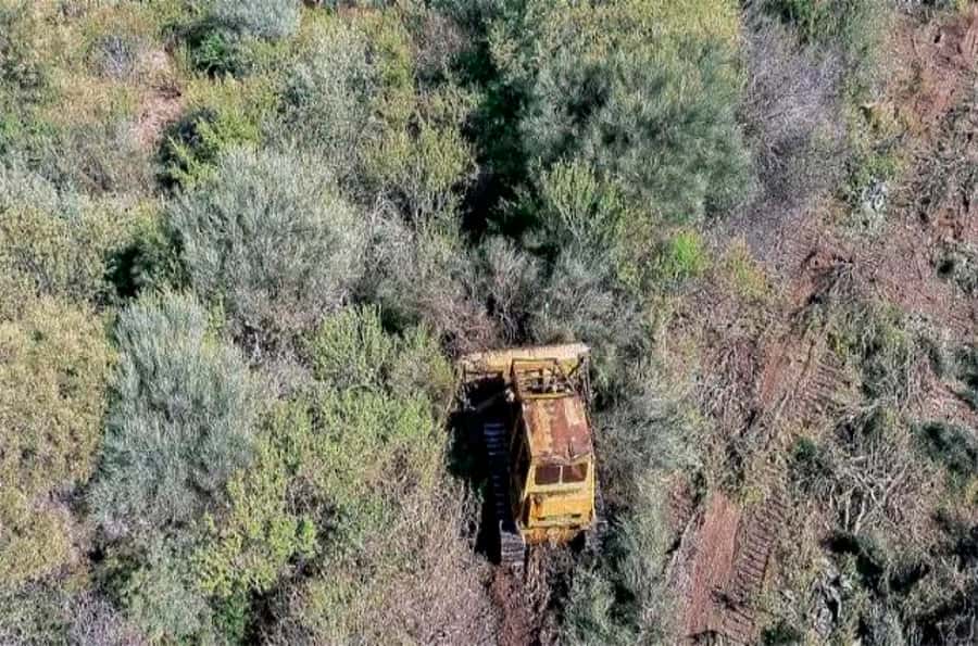 De acuerdo a las actuaciones administrativas que viene ejecutando la repartición desde hace un año y medio, en ese período se desmontaron en Entre Ríos alrededor de 4.000 hectáreas de bosque nativo.