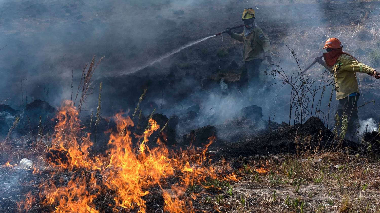 Corrientes, Entre Ríos, Córdoba y La Pampa mantienen focos de incendios forestales