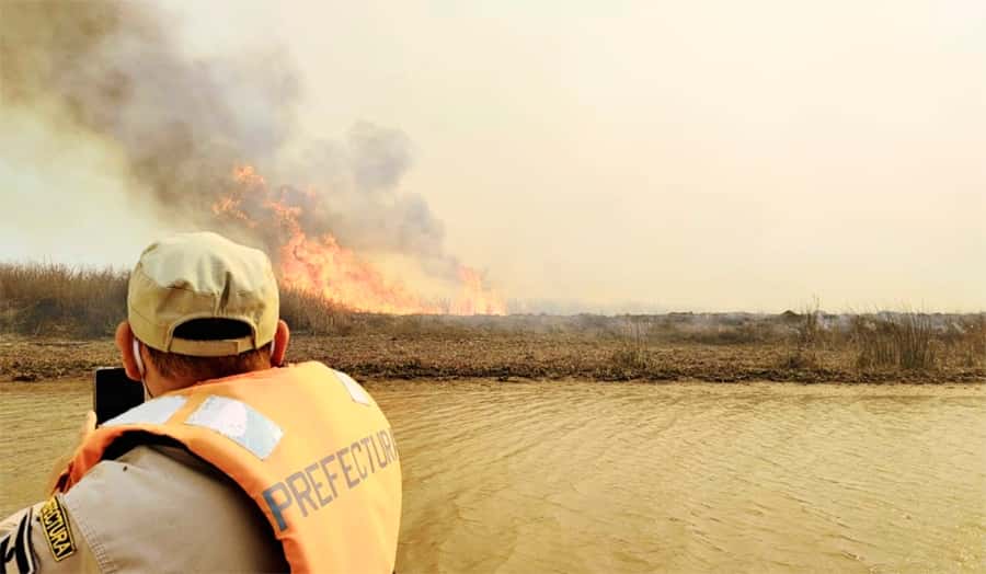 El naturalista Enrique Sierra registró que se quemaron 17.195,38 hectáreas en todo el Delta del río Paraná con 1.223 focos ígneos, tan sólo en la semana del 9 al 16 de enero.