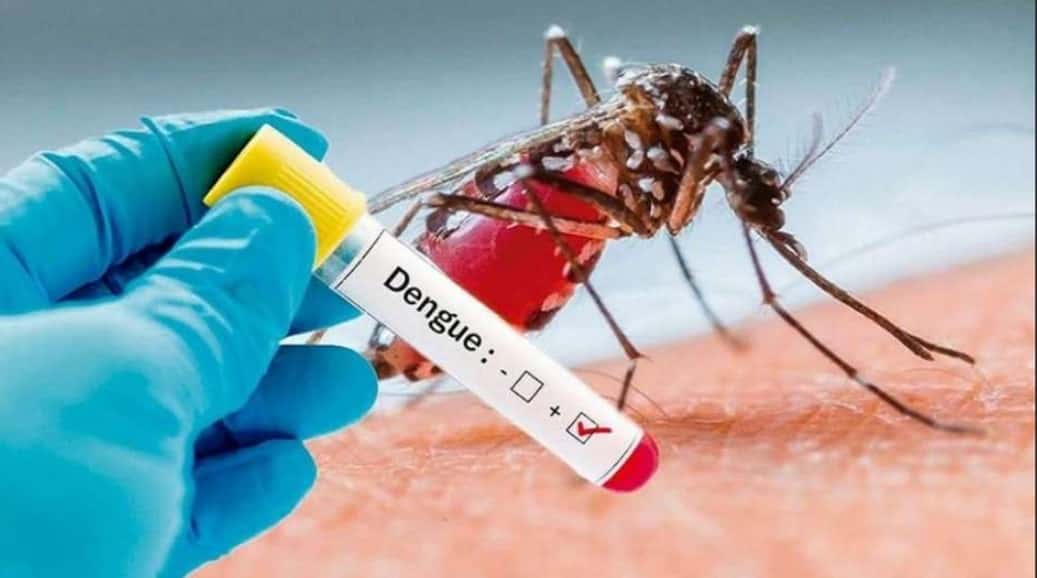 Dengue: ya hay 33 casos confirmados en Entre Ríos
