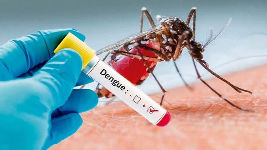 Ante el crecimiento de casos emiten nuevas recomendaciones para prevenir el dengue