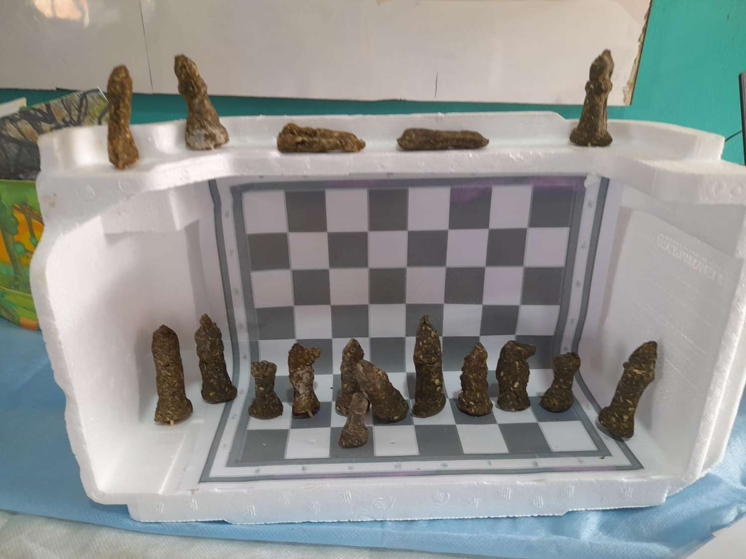 Eco ajedrez realizado por alumnos de segundo grado