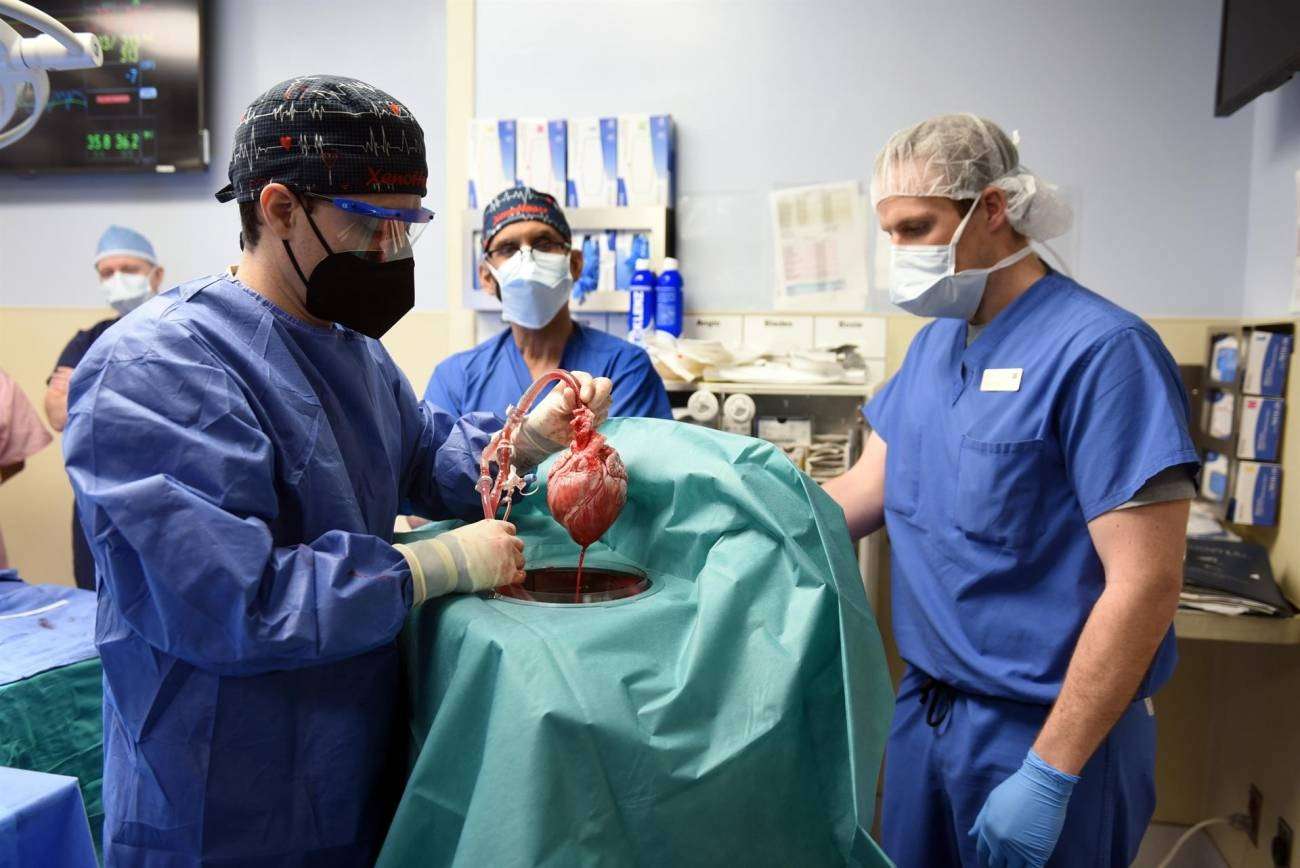 Se realizaron más de 1.500 trasplantes de órganos y córneas en lo que va del año